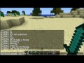 Let's play Mincraft! Part 1: Enderman and Squids