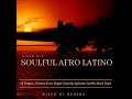 Soulful Afro Latino Mix (Mixed By Ben Dns)