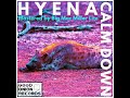 Calm Down by Hyena