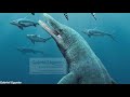 Predator X - The Giant Arctic Pliosaur