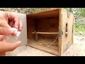 New Idea ! Creative Quick Pigeon Trap Make From Wood Box & Plastic Bottle | Effective Bird Trap 100%