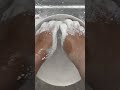 Hydrophobic Chalk : fluffy vs silky vs squeaky : your fav??