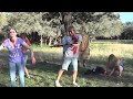 Zombie Harlem Shake