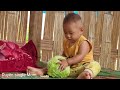 Single Mom Harvest cabbage, pick garden vegetables to sell at the market | Duyên Single Mom