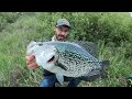 The BIGGEST CRAPPIE EVER CAUGHT on VIDEO?!
