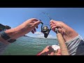 Fishing Sunken Concrete Ships... and I caught this! -Chesapeake Bay Fishing (Red Drum, Fluke, Trout)