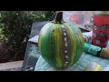 Painting Fall Pumpkins 2021