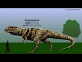 CARCHARODONTOSAURIDAE || Dinosaur Size Comparison