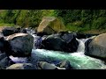 River Relaxing Video Mountain River Sounds Water Sounds For Sleeping For Studying For Stress Relief