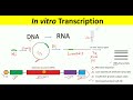 RNA Synthesis by In Vitro Transcription and Optimization of IVT mRNA