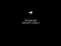 Affirmed vs. Alydar: All 10 Races in the Rivalry