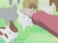 Azumanga Daioh Episode 11