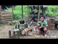 An Orphan Boy - Picking Forest Leaves, Cook And Survive Alone In The Green Forest