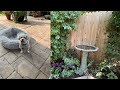 Shade Garden Makeover🌿Adding a Small No Dig Fence to Keep the Dogs Out #gardeningvideos #gardening