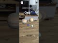 Solar System AR