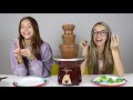 Desafio da Fonte de Chocolate! CHOCOLATE VS COMIDA DE VERDADE | EDIÇÃO MASTERCHEF  ft FAmily Fun 5