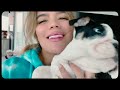 Karol G, Anuel AA - Follow