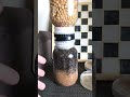 Morel (Morchella Importuna) 3d printed Jar joiner