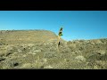 2018.11.11 15:51 -- NW of Las Vegas on trails near shooting area