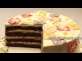 Simple Chocolate Cake Recipe with Buttercream Flowers