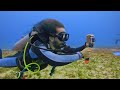 How to Capture Underwater Dive + Snorkel Shots With Your GoPro