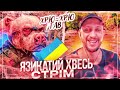 Его дочь на фронте #чатрулетка  #Язикатий_Хвесь