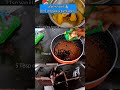 ശരിക്കും ഞെട്ടി‼️ 😱 മിക്സിയിൽ Dream cake അപരൻ 🌿 #minivlog #shorts #cake #chocolate #easyrecipe