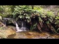 [4k] Blue Mountains  Falls  | Katoomba attractions | Leura attractions | Sydney attractions