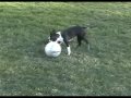 Soccer Ball Drag