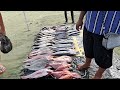 bilihan ng isda dito sa fiji sa baybayin lang nakalatag sa buhanginan!!