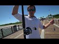 Most EXPENSIVE Fish EVER Caught off Pier! Catch Clean Cook (Juno Pier Fishing)
