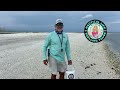 Shell Island Shelling. Pre-Hurricane Ian Shelling on an Island in the 10K Islands Florida.