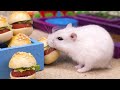 Never ever trust your HAMSTER with mini BURGER FACTORY