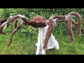 Horrid Nightmares Reviews - Jumping Spider (Demo!)
