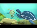 ​@Octonauts - 🐢 Turtle Rescues ⛑️ | One Hour Special! | Underwater Sea Education