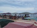 Guacamayo en playa Punta Arenas, Isla de Margarita.