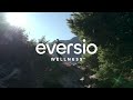 Energize | Eversio Wellness