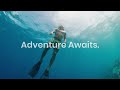 Dive into unforgettable adventures with Travelarii!