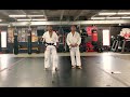 BJJ 101: Blue Belt Test