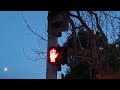 Old McCain Traffic Light & Flickering Neon Pedestrian Hand (9th Ave & Tulip St)