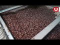 Cadbury Dairy Milk Chocolate Factory | How It's Made Cadbury Chocolate
