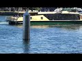 Sydney Ferries Parramatta-class [MV Frances Bodkin] departing Barangaroo (1B)