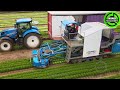 The Most Modern Agriculture Machines That Are At Another Level,How To Harvest Aloe Vera In Farm▶2