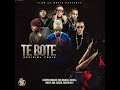 Te Boté (Remix)