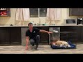 Learn how to effectively crate train your puppy.