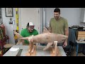 Carving a Log into a 4’ Shark that SWIMS