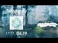 Nornis - 1st Mini Album『Tensegrity』XFD