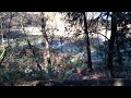 Me cycling down a hill at rainbow bridge near kanaka creek BC canada