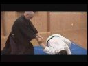 Classical Jujutsu Instruction: Introduction