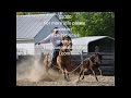 Calf Roping Horse For Sale
